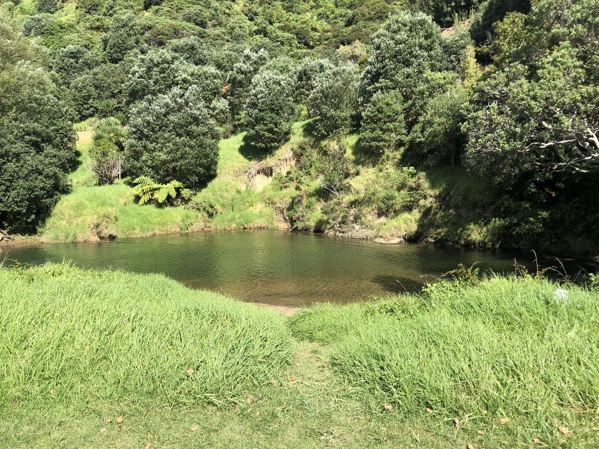 Te Mata Bay Seaviews Bed and Breakfast Tapu Exterior foto